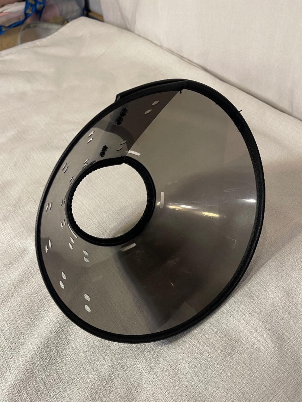 Clear Smoke Pet Recovery Cone with Black Trim